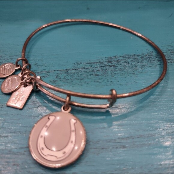 RHTF Alex and Ani Horseshoe Charm Bracelet adjustable Bangle - Picture 4 of 5